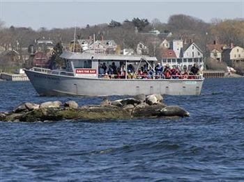 The Spring Seasons Inn Newport Kulesi Dış mekan fotoğraf